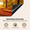 KitchenYeah© Herdabdeckplatte Herbst - Licht - Wald , Produktbild-Vorschau 5