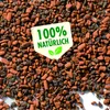 Seramis Cactus & Succulentes Spez-Sub. 2,5l Voir les images du produit 3