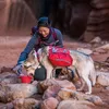 Kurgo Hunde-Rucksack Baxter M Rot Produktbild-Vorschau 8