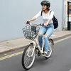 Scooter Lenkerkorb mit Halterung 245x215x180mm - Produktbild-Vorschau 8