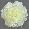 artplants.de Künstliche Nelke NIRUSHA, weiß, 65cm - Kunst Produktbild-Vorschau 2