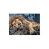 TREFL Puzzle Lion endormi 1000 pièces Voir les images du produit 1