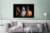 MuchoWow® Poster Pferde - Tiere - Schwarz 120x80 cm - Produktbild-Vorschau 5