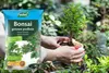A person is holding a small bonsai tree while a bag of bonsai soil is in the foreground. Produktbild-Vorschau