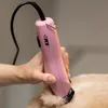 Wahl Pro Pet KM2+ - clipper a filo Anteprima dell’immagine prodotto 5