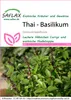SAFLAX - Thajská bazalka - Ocimum basilicum - 200 Semená Náhľad obrázku produktu 7