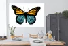 MuchoWow® Poster Blau - Schmetterling - Orange 180x120 cm - Produktbild-Vorschau 3