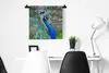 MuchoWow® Wandteppich Wandbehang Porträt - Pfau - Federn Produktbild-Vorschau 3