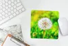 MuchoWow® Mauspad Mousepad Löwenzahn - Gras - Blume 20x20 Produktbild-Vorschau 5
