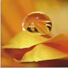 ARTland Glasbild Wassertropfen II Größe: 20x20 cm Produktbild-Vorschau 1