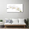Acrylglasbilder 100x50 Wandbild Druck Blumen Pflanzen Produktbild-Vorschau 3