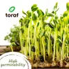 Toraf, sada semen XXXL, 3000 SEMEN, semena, příchutě léta, Náhled obrázku produktu 6
