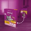 Whiskas Adult 2x300g Trockenfutter Vollnahrung für Produktbild-Vorschau 5