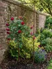 Rankgitter Rost 200 x 46 cm - Rankhilfe Garten - Produktbild-Vorschau 3