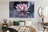 MuchoWow® Poster Rosa Blume im Wasser 180x120 cm - Produktbild-Vorschau 4
