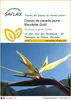 SAFLAX  - Oiseau de paradis jaune - Mandelas Gold - 4 Voir les images du produit 1