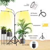 Lampa do roślin ze stojakiem i pilotem zdalnego sterowania Podgląd zdjęcia produktu 3