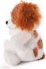 NICI Sleeping Pets šteniatko kokeršpaniela, plyšová hračka, Náhľad obrázku produktu 5