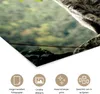 MuchoWow® Poster Katze - Stein - Wald 80x60 cm - Kunst für Produktbild-Vorschau 2
