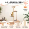 A cat tree with multiple platforms and a scratching post, shown with illustrative callouts highlighting its features and materials. Náhľad obrázku produktu