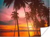 MuchoWow® Poster Meer - Palme - Sonnenuntergang - Strand - Produktbild-Vorschau 1