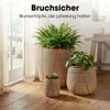 Mica Decorations Pot de fleurs Cancun - 45x45x40 cm - Voir les images du produit 7