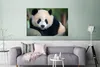 MuchoWow® Poster Panda - Wildtiere - Porträt - Stein 120x80 Produktbild-Vorschau 5