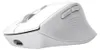 Trust Niven, rechts, RF Wireless + Bluetooth, 3200 DPI, Produktbild-Vorschau 1