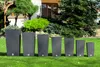A set of seven dark gray planters of varying heights are arranged in a line on a green lawn in front of a house and trees. Anteprima dell’immagine prodotto