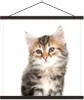 MuchoWow® Textilposter Kätzchen - Weiß - Nase - Mädchen - Produktbild-Vorschau 1
