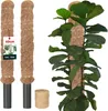 KOTARBAU® 2 pezzi Tutori per Piante ⌀ 3,2 x 40 cm Palo di Anteprima dell’immagine prodotto 1
