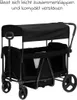 Fillikid Bollerwagen Oskar für 2 Kinder max. Produktbild-Vorschau 20