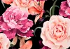 Vlies Fototapete - Roses of Love 450x315 cm Blumen Produktbild-Vorschau 5