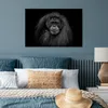 MuchoWow® Poster Orang-Utan-Profil in Schwarz und Weiß Produktbild-Vorschau 4
