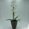 Keramik Blumentopf Rhodos für Orchideen anthrazit H 17 cm Produktbild-Vorschau 2