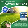 DÜNGEMEISTER Rasendünger für Ihren sattgrünsten Traumrasen Produktbild-Vorschau 3