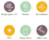 Green boutiQ - Plante sur tige - Eucalyptus gunni Azure - Voir les images du produit 7