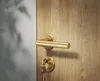 A close-up of a gold door handle and lock on a wooden door. Produktbild-Vorschau