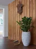 A plant in a decorative pot stands next to a broom and dustpan against a wooden wall. Voir les images du produit
