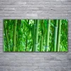 Glasbilder 120x60 Wandbild Druck auf Glas Bambusrohre Produktbild-Vorschau 2
