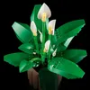 LEGO BOTANICALS 11504 Lys de la paix Voir les images du produit 21