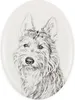 Berger picard - plaque commémorative avec image de chien, Voir les images du produit 1