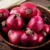 Oignons de semence Red Baron (500 gr) - Ciboulette Voir les images du produit 1