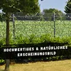 Bedruckter Sichtschutz KIRSCHLORBEER Zaun Produktbild-Vorschau 6