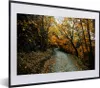 MuchoWow® Gerahmtes Poster Blätter - Herbst - Wald 40x30 cm Produktbild-Vorschau 1