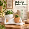 Blumentopf für Sukkulenten, lustiger Pflanztopf mit Produktbild-Vorschau 5