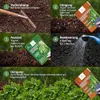 LERAVA® Trifoglio da seme di dichondra [Non è necessario lo Anteprima dell’immagine prodotto 2