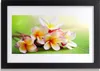 Bild 30x20 MDF-Rahmen Wandkunst Blumen Pflanzen Natur Produktbild-Vorschau 1