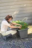Untersetzer für Pflanzkübel Green Basics 60cm Living Noir - Produktbild-Vorschau 2