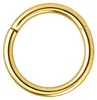 Wildcat Piercingringe - Hinged Segmentring aus Produktbild-Vorschau 1